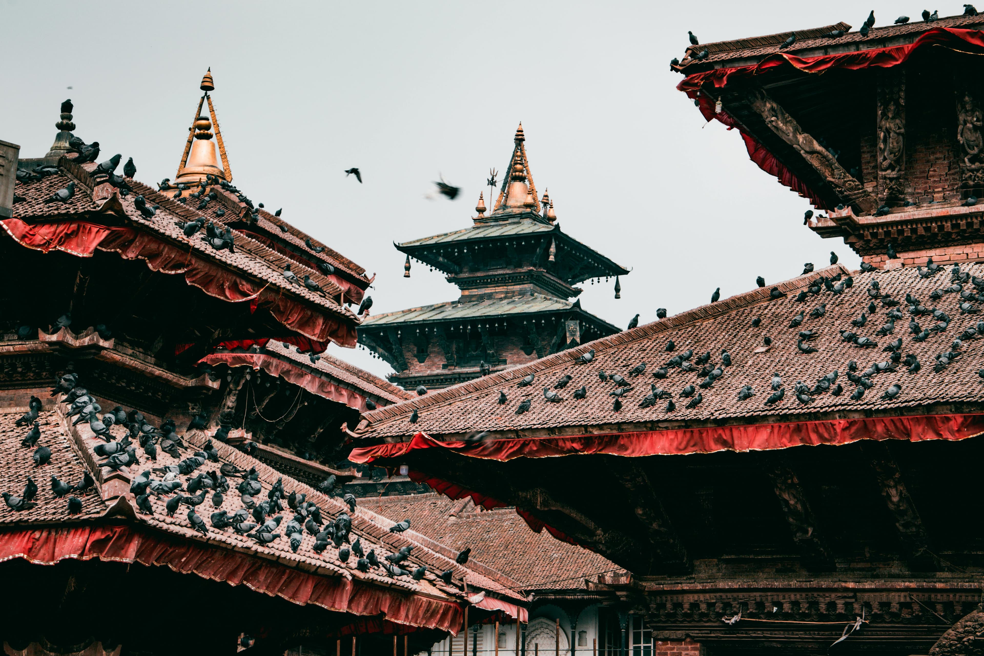 Basantapur temples in Kathmandu with pigeons on the rooftops