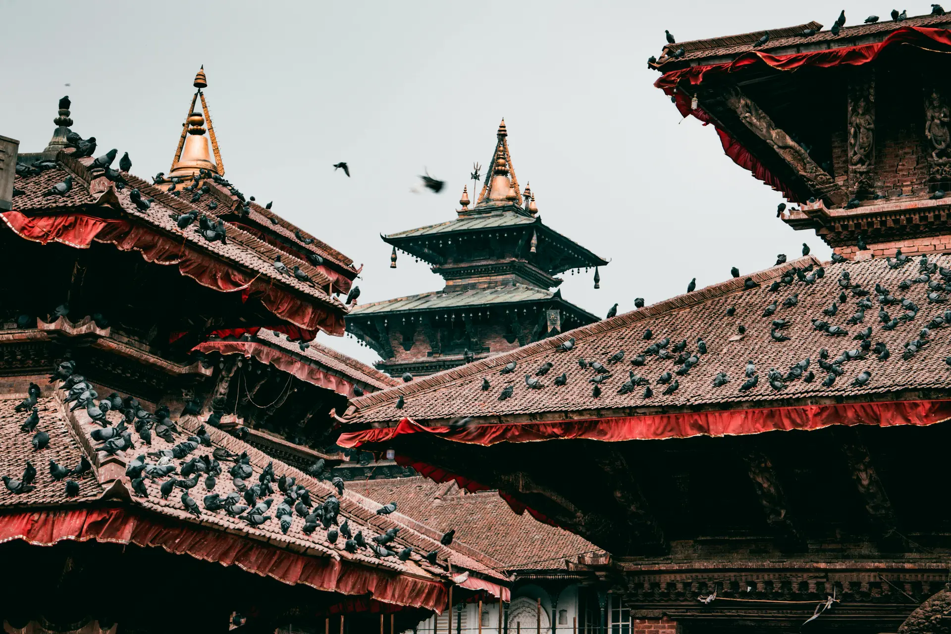Basantapur temples in Kathmandu with pigeons on the rooftops